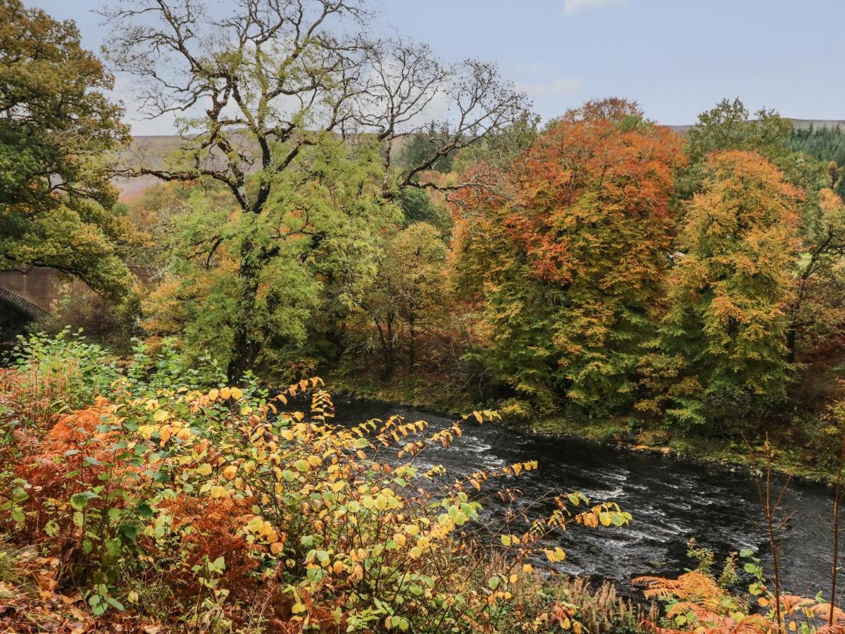 4 River Court インヴァーガリー エクステリア 写真